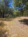 1371 Moccasin Trail - Photo 41