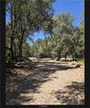 1371 Moccasin Trail - Photo 48