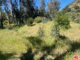 29371 Lake Vista Drive - Photo 9