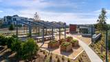 27524 Grand Fir Way - Photo 30