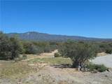 38295 Indian Road - Photo 1