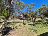 38295 Indian Road - Photo 3