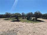 38295 Indian Road - Photo 9