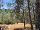 10353 Walnut Way - Photo 1