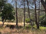 10353 Walnut Way - Photo 2