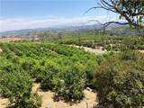 39 Carancho Road - Photo 11