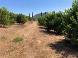 39 Carancho Road - Photo 7