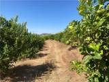 39 Carancho Road - Photo 9