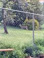 5129 Toyon - Photo 59