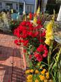 36 19th Street - Photo 11