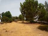 10265 Fairway Drive - Photo 5