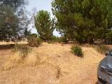 10268 Delmonte Way - Photo 3