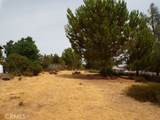 10268 Delmonte Way - Photo 5