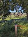 7725 Gabarda - Photo 2