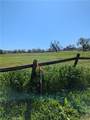 7725 Gabarda - Photo 4