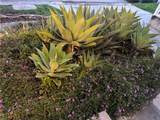 1433 Beverly Drive - Photo 48