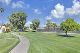 35983 Novio Court - Photo 19