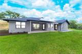 14765 Molluc - Photo 2