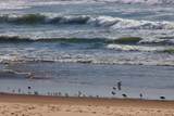 53 Pelican - Photo 24
