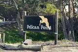 53 Pelican - Photo 25