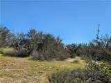 0 Pony Trail - Photo 9