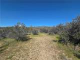 0 Pony Trail - Photo 11
