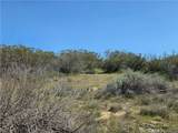 0 Pony Trail - Photo 12
