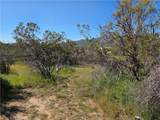 0 Pony Trail - Photo 2