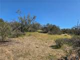 0 Pony Trail - Photo 3