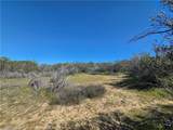 0 Pony Trail - Photo 4