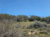 0 Pony Trail - Photo 5