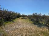 0 Pony Trail - Photo 8