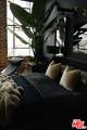 315 8th Street - Photo 14