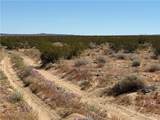 0 Old Woman Springs Road - Photo 3