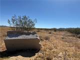 0 Old Woman Springs Road - Photo 5