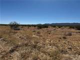 0 Old Woman Springs Road - Photo 7