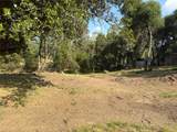 0 Chickasaw Road - Photo 1