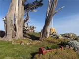 506 Anchor - Photo 17