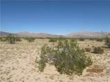 42 Amboy - Photo 8