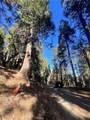 0 Reservoir - Photo 4