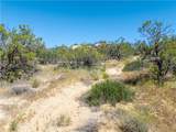 24 Ruben Drive - Photo 4