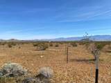 17651 Cattleman Road - Photo 6