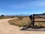 17651 Cattleman Road - Photo 9