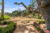 919 Rivas Canyon Road - Photo 3