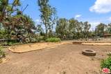 919 Rivas Canyon Road - Photo 6
