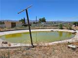 38800 Bahrman Road - Photo 18