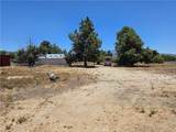 38800 Bahrman Road - Photo 20