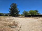38800 Bahrman Road - Photo 3