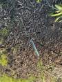 0 Long Hollow Lot 1631 - Photo 20