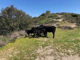  Creek Ranch, 36000 Carmel Valley Road - Photo 26